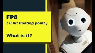 FP8 ( 8 bit floating point ). What is it?