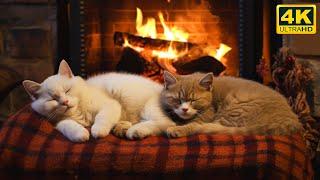 Stay Warm And Cozy with Purring Cats | Helps Sleep Instantly | Fireplace Burning