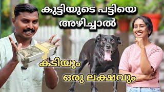 പട്ടി കടിച്ചാൽ ഒരു ലക്ഷം പോകും... Dog challenge.. leash talks