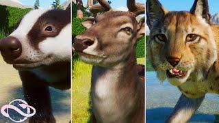 Animal Showcase! All The New Europe Pack Animals! | Planet Zoo Europe Pack