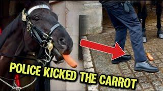 HORSE COULD BE IN DANGER FOR THIS! POLICE KICKED THE CARROT  INSTEAD