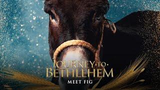 Journey To Bethlehem - Meet Fig (Full)