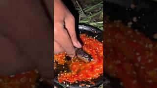 Belut bakar pedes rica-rica disawah #892 #KOOKIKO