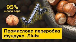 Обладнання для розколу та сортування фундука. Горіхокол та аспіраційна колона для фундука