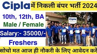 Cipla में निकली भर्ती | Cipla Job Vacancy 2024 | Cipla Recruitment 2024 for Freshers | B Pharma Job