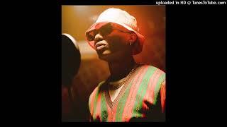 (FREE) Wizkid Type Beat x Rema Type Beat - "Panna"