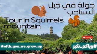 Yasser Baba | Squirrels mountain tour #with_you_we_grow_up