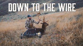 Down to The Wire | Archery Hunting Fallow Deer Solo