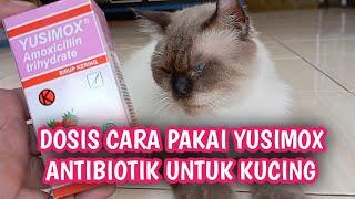 YUSIMOX ANTI BIOTIK UNTUK KUCING PANLEUKOPENIA,SUSAH KENCING,CALICI VIRUS