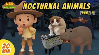 Nocturnal Animals Minisode Compilation (Part 1/2) - Leo the Wildlife Ranger | Animation | For Kids