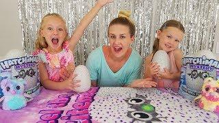 Opening Hatchimals Mystery Eggs!! Surprise Eggs Unboxing!