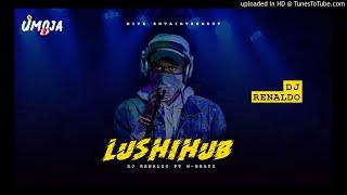 DJ Renaldo ft H beatz - lushihub