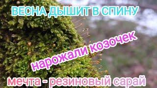 Последние новости зимы