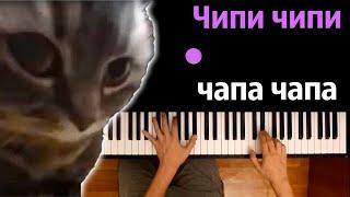  ЧИПИ ЧИПИ ЧАПА ЧАПА (на русском) | @MelodyNoteVtuber   ● караоке | PIANO_KARAOKE ● ᴴᴰ + НОТЫ