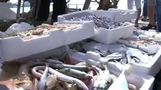 The fish market in Sciacca