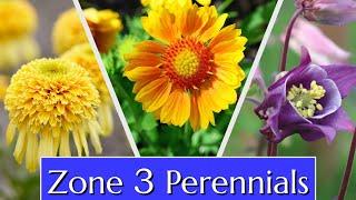 Perennials for Cold Climates Zone 3