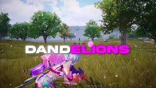 Dandelions  | Best Velocity edit | badboy vfx