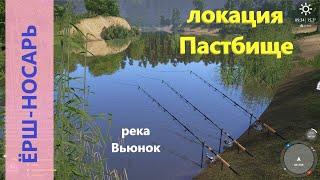 Русская рыбалка 4 - река Вьюнок - Ёрш-носарь: вся правда о рыбалке