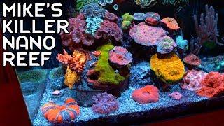 Mike's Killer Nano Reef Tank