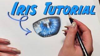 BLAUE IRIS ZEICHNEN! | TUTORIAL - IRIS ZEICHNEN MIT BUNTSTIFTEN