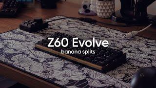 Z60 Evolve w/ Banana Splits - Sounds