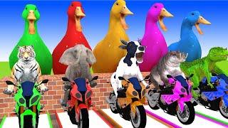 5 Giant Duck, Monkey, Piglet, chicken, dog, mammoth,tiger, Sheep, Transfiguration funny animal 2023