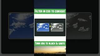 How turn a image into black and white css filter property #css #shorts @codingsprint