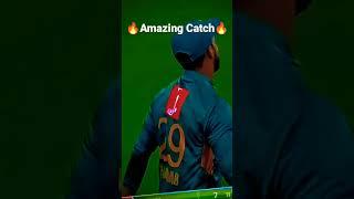 Amazing catch by Shadab Khan #shadabkhan #cricketedits   #crickethighlights #babarazam #actionpacked