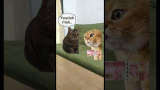 Meme kucing part 8 #nenek#memekucing#cats#editvideo #cerita