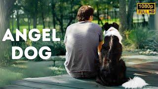 The Dog Who Changed His Life Forever | The Best Adventure Movie | Full Movie in English HD