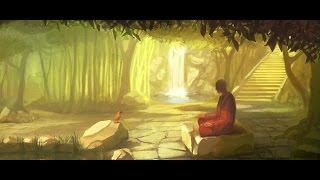528 hz DNA Healing/Chakra Cleansing Meditation/Relaxation Music "Sounds of Nature"