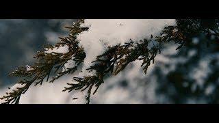 Cinematic Snow B-Roll | Sony A7SII