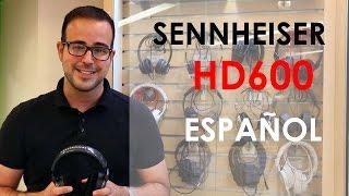 Audífono Sennheiser HD 600 review y crítica en español