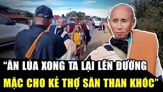 LÝ GIẢI CÂU NÓI của Sư Minh Tuệ “ĂN LÚA XONG TA LẠI LÊN ĐƯỜNG, MẶC CHO KẺ THỢ SĂN THAN KHÓC” | HP