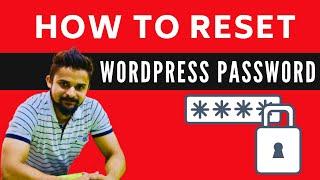 how to recover WordPress password from cPanel | Reset a WordPress password from PHPMyAdmin