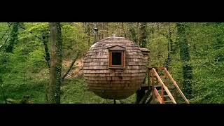 Lost Meadow Treepod - Canopy & Stars | Glamping in Cornwall