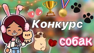 Конкурс для собачек  / Toca Boca World / тока бока / toca boca / Secret Toca