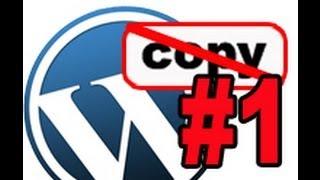 Секретное видео: защита от копипаста в WordPress #1 (1 из 2)