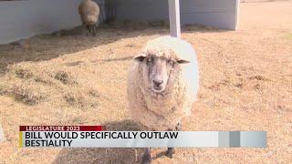 Proposed Senate bill would make bestiality a crime