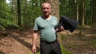 Makro - Fotogafie im Wald mit Nikon Z8 und Sony A7R5 sowie Godox V1 & Makro Blitz Diffuser Reflektor