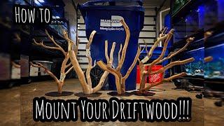 How To Mount Your Driftwood to Base‼️