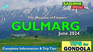 Gulmarg Kashmir in June 2024 | Tips on Gondola Ride| Complete trip Guide| Kashmir Best Places |