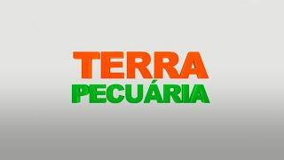 Programa Terra Pecuária | 07/02/2021