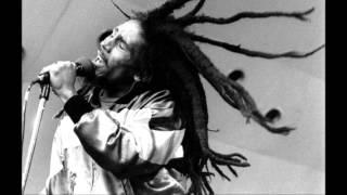 Bob Marley & The Wailers - Hallenstadion - Zurich  May 30, 1980 Newly Discovered Soundboard