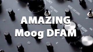 ULTRAHARM | Moog DFAM and TC Electronic Triple Delay