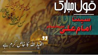 Quote | Hazrat Ali | Ikhtyar Allah Ka Khaas Karam Hai | Najaf TV