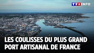 Les coulisses du plus grands port artisanal de France ｜TF1 INFO