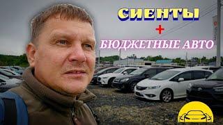 #АВТОРЫНОК СИЕНТЫ И БЮДЖЕТНЫЕ АВТО