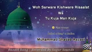 Woh Sarware Kishware Risaalat By Muhammad Shadab Razavi & Muhammad Sadiq Razavi