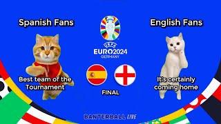 Spain 2 - 1 England | FINAL | Cat Memes | UEFA Euro 2024